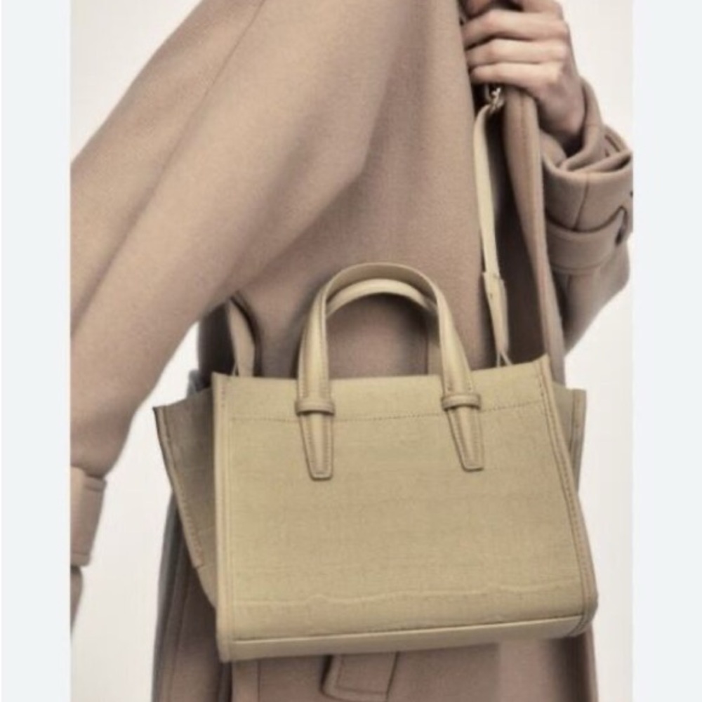 Zara Beige Mini Bag